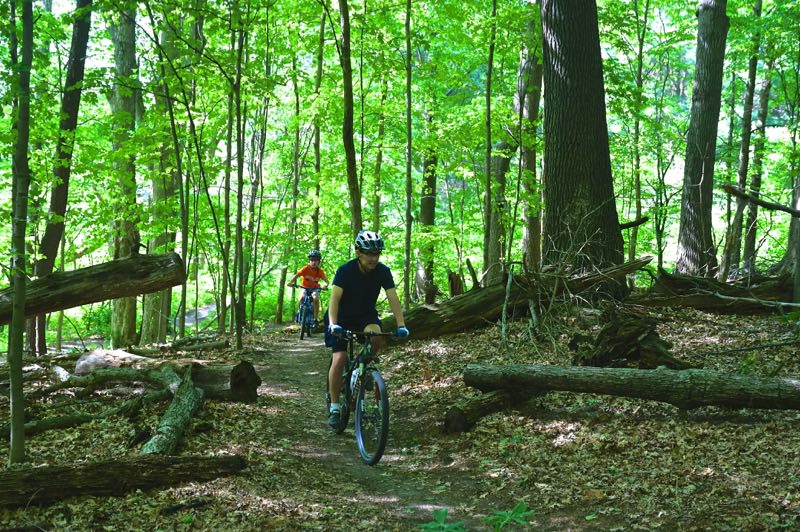 Luton Park Mountain Biking Trails